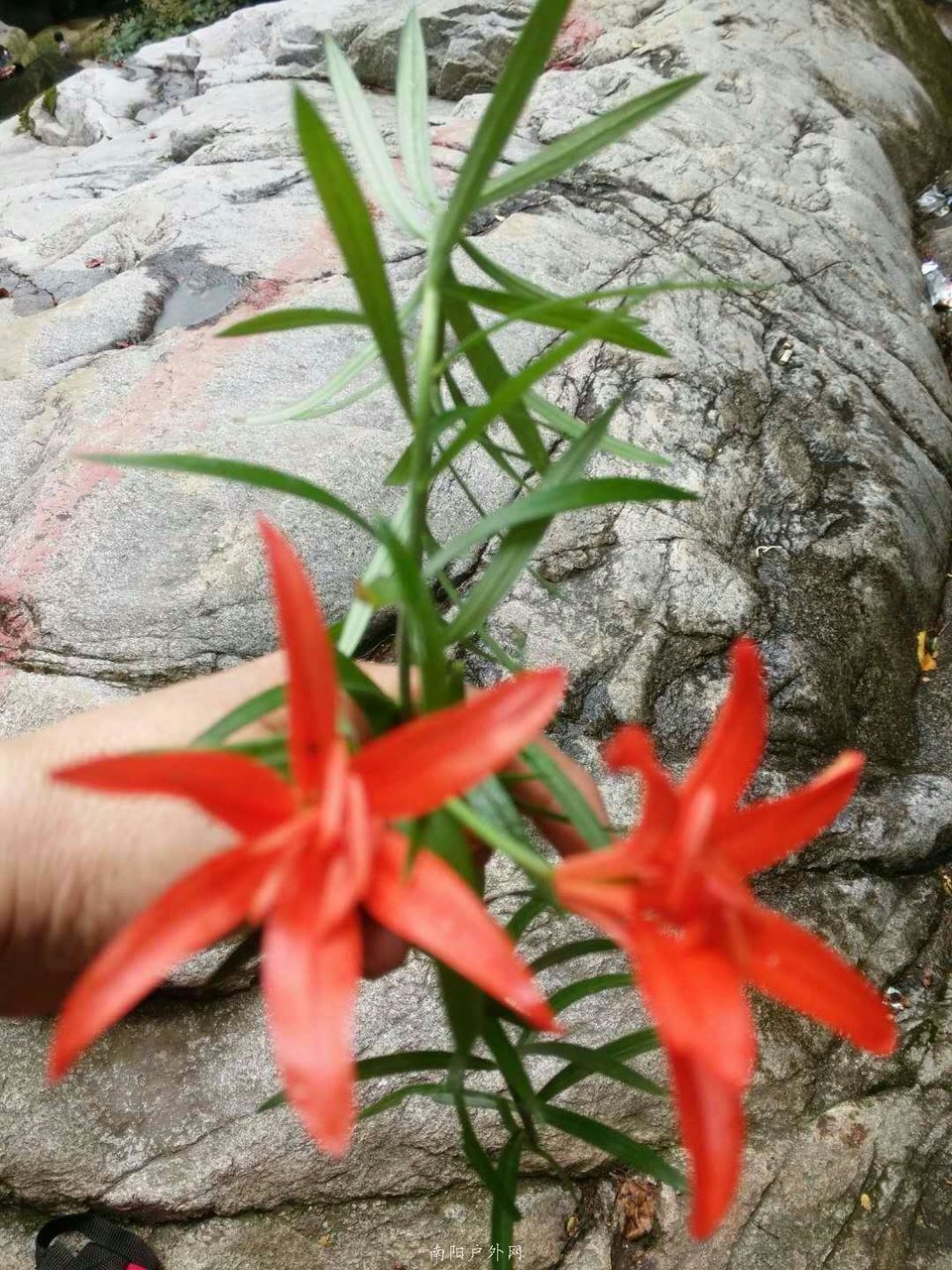 n18zKdDxYlSb1Midtlje_cy8K4AAVIlSYGfQyDPuYSa6e-kvtl6lrElsvTMVk4sU