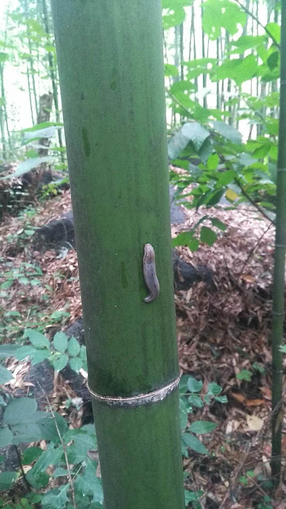 JiY-KWBW1eK-YOiauVYLVhoSPZh7WCVUS5qe3NUHoKl55oFIA-M1pwCZlpDInkUI