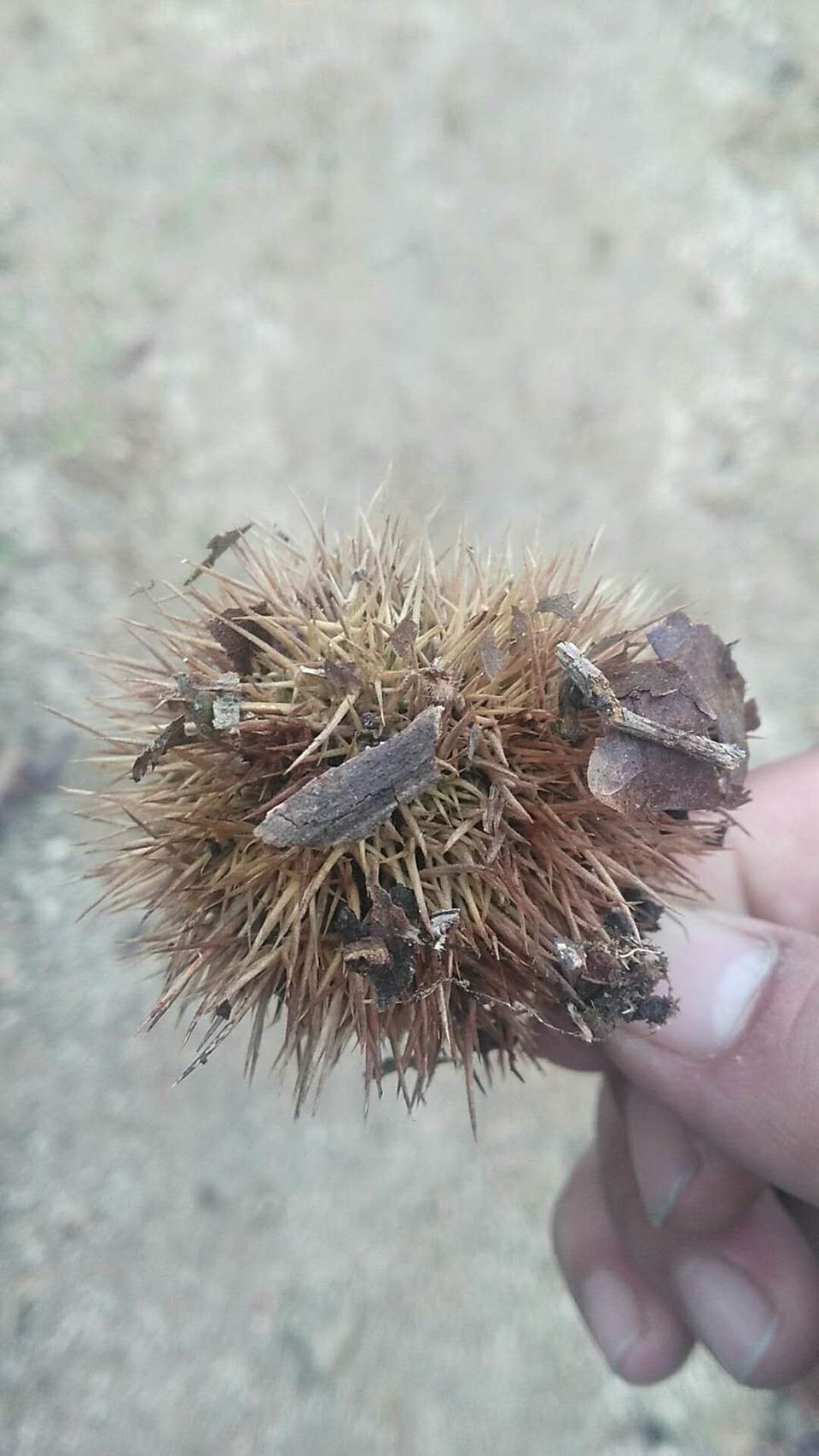 J0sAWc5_ejbHUwnEqHwh9VADQktENyJnShesIsb-KYKsw3rHa4Nps9W24clcE5CT