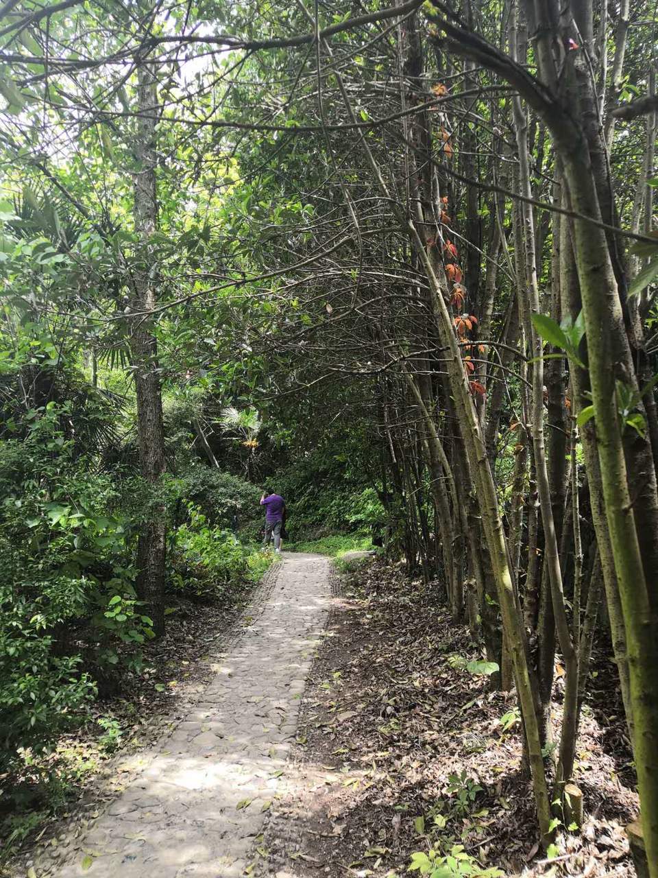 00Gw5y1SJIi4JlKfNvKRv7J6rEEDTg8qIR1qMJtEPfM6HIwmMQeeUwYeSc1Va8fm