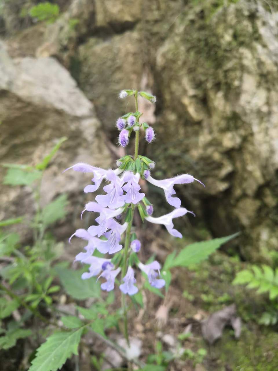 MMBn1XKFqybIBhWe2FdiAmmKnw8t3jQekajQWP-g-_pUyrh-3o3U6dfWcnaoMMTI