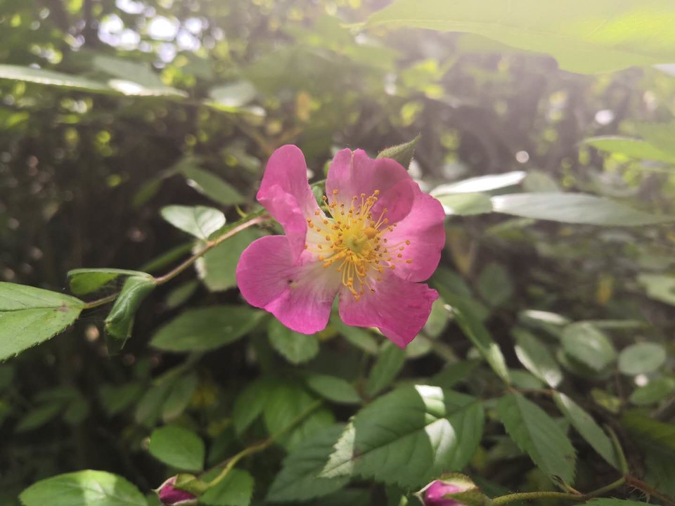 aqNUG67HhkyuufT00eHkdgEhaEUAmuGc6cqLwy-Ebo5P6qXLV5e7ViC4zHP_wszy