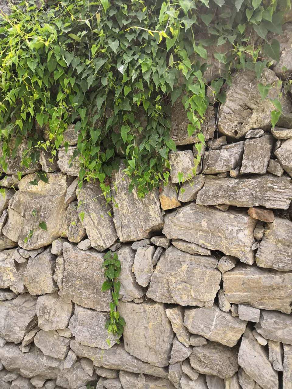 dug3VS8XfGx6iR5a5n6HietOD3RIxsLZitCxiRTivsQMzsqc_F-2tgu5noSBaCsZ