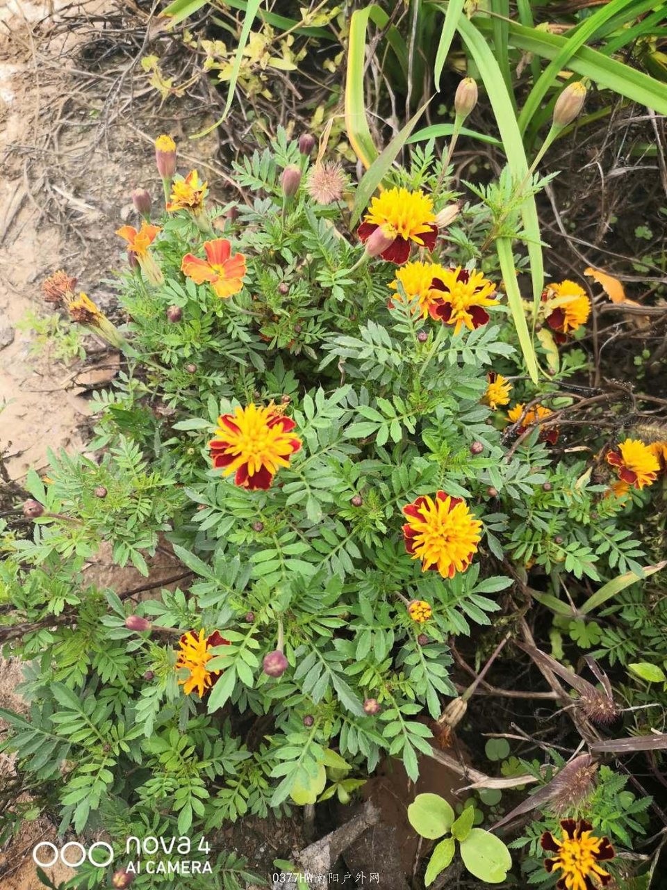 NmyxVEAmuD72i1_3XS6WLR3rdD_RxiYrDIi2VwobXrc-u-aPuqqn0OHi7CffqKZi