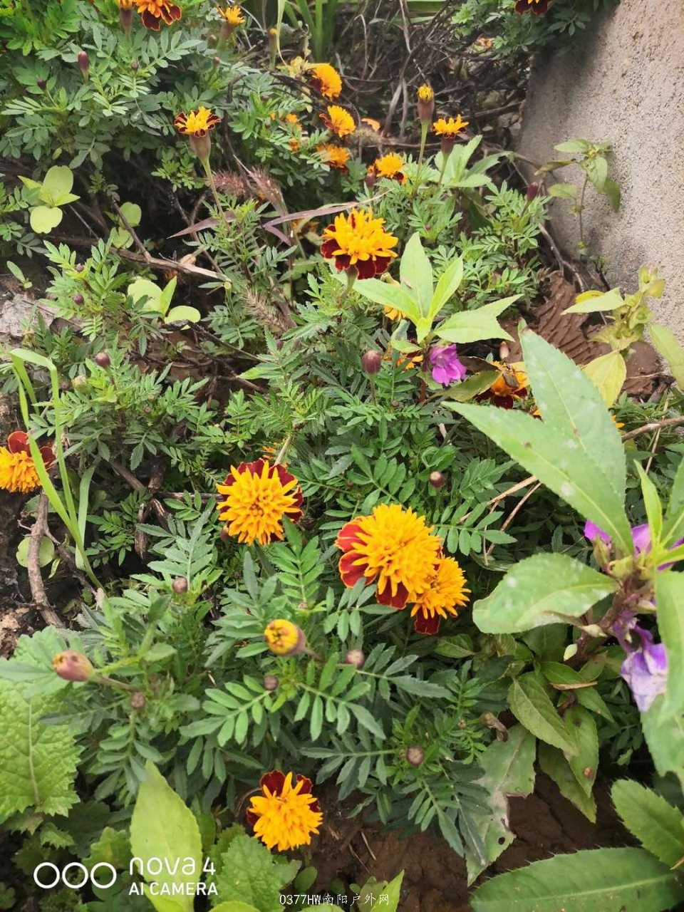 qD7YLhhQvXJi4LUDzypVOImMxbYP18GVxYBf8EBdYeKcpz-8uQ1ZD46EiBE9MSq6