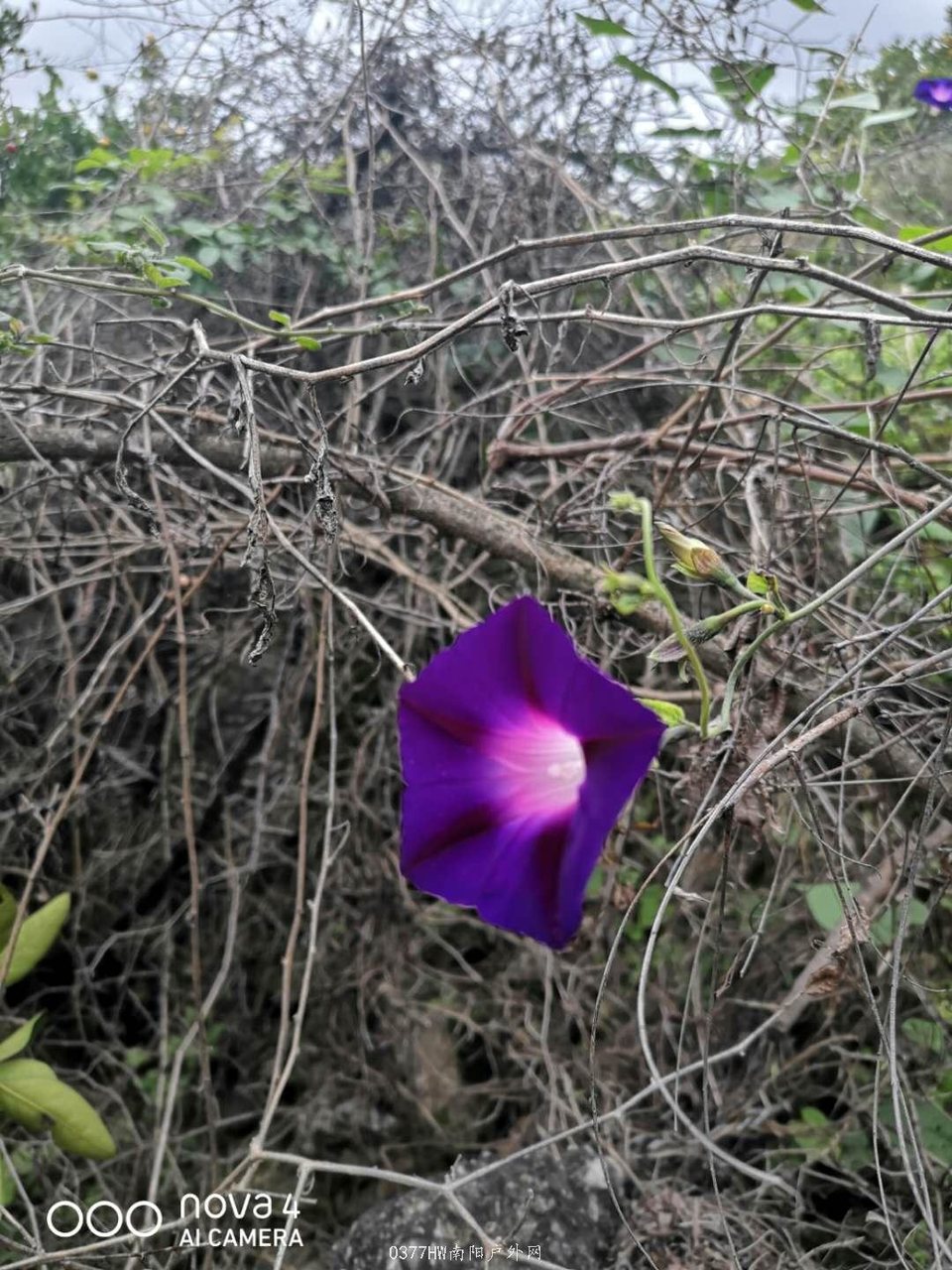 1MtI_B3r-yQ2CHrEKzXlzFKsvjI8Kp8z-MT1B4ti4p1OFqHhhuj0-AiDWB3W6CPA