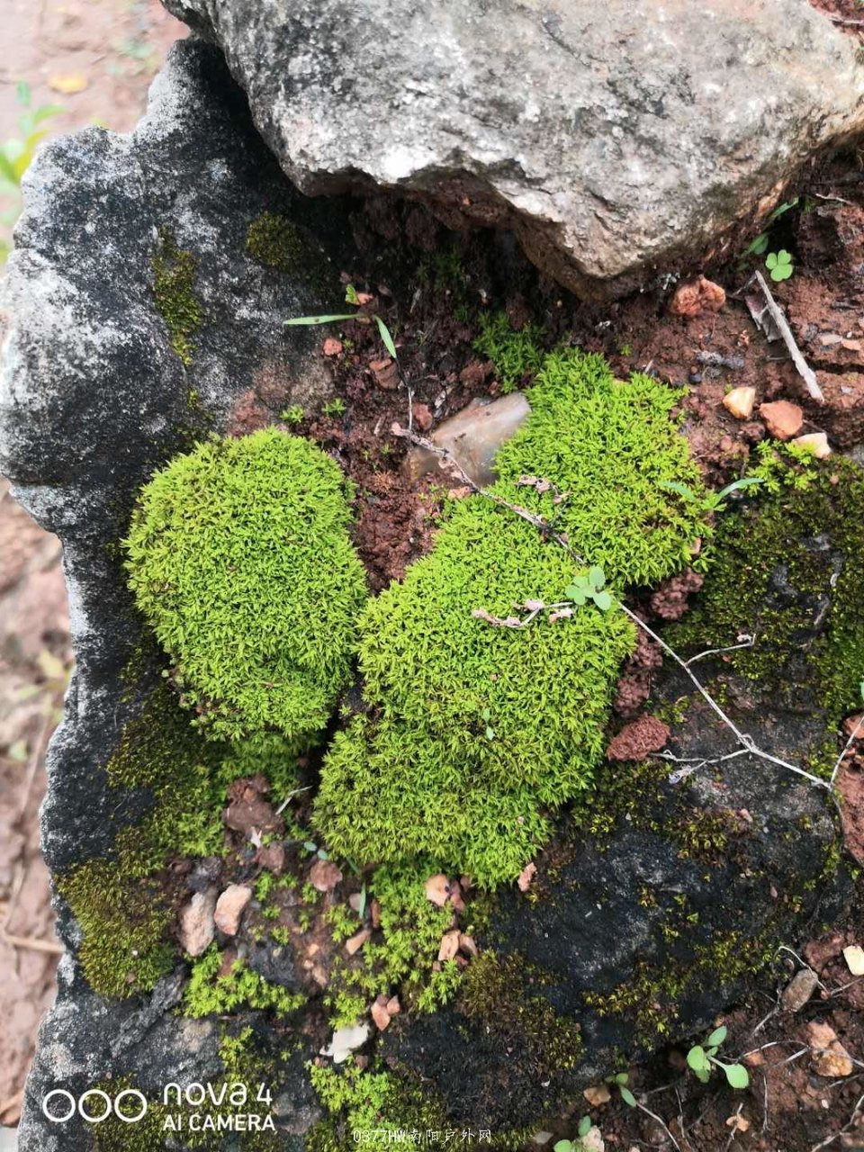 mIjz3dQrMxvVZeE3u8ed3GQg1zK1vVrlQjhRpGnUcs7kYQY2BTa1wIRden0D_LZE