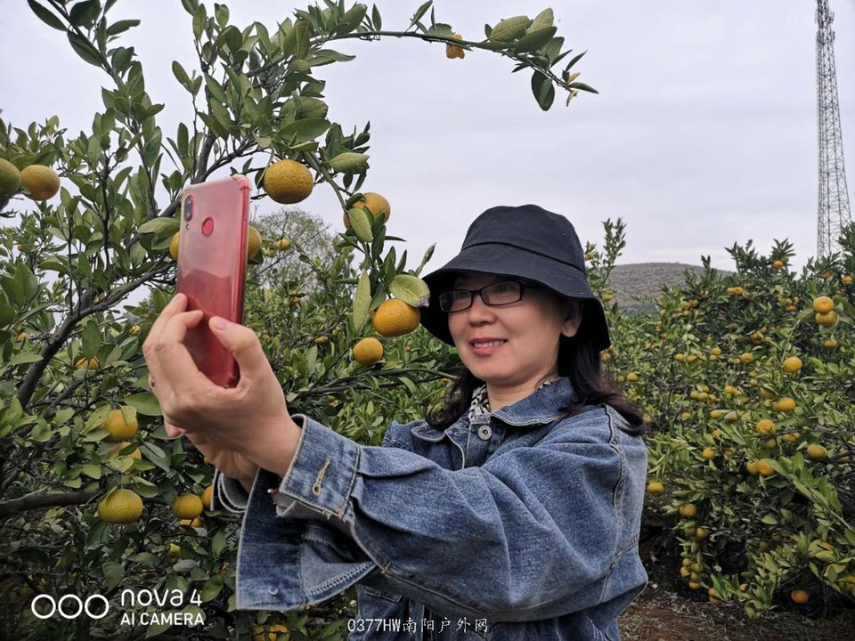 31Qb3lSIIy3xV1RLadkllwpGlcJNLDPkwTKiCIoONjM2k-zus3GlbaAkBPq01fuE