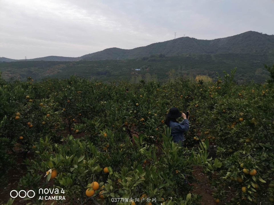 hPbHSWrT4wNhmfDwt7EIwIXp-h7WOkKh0ls1vHyzK28b4XAPI9-Vujk4mknyWy-n