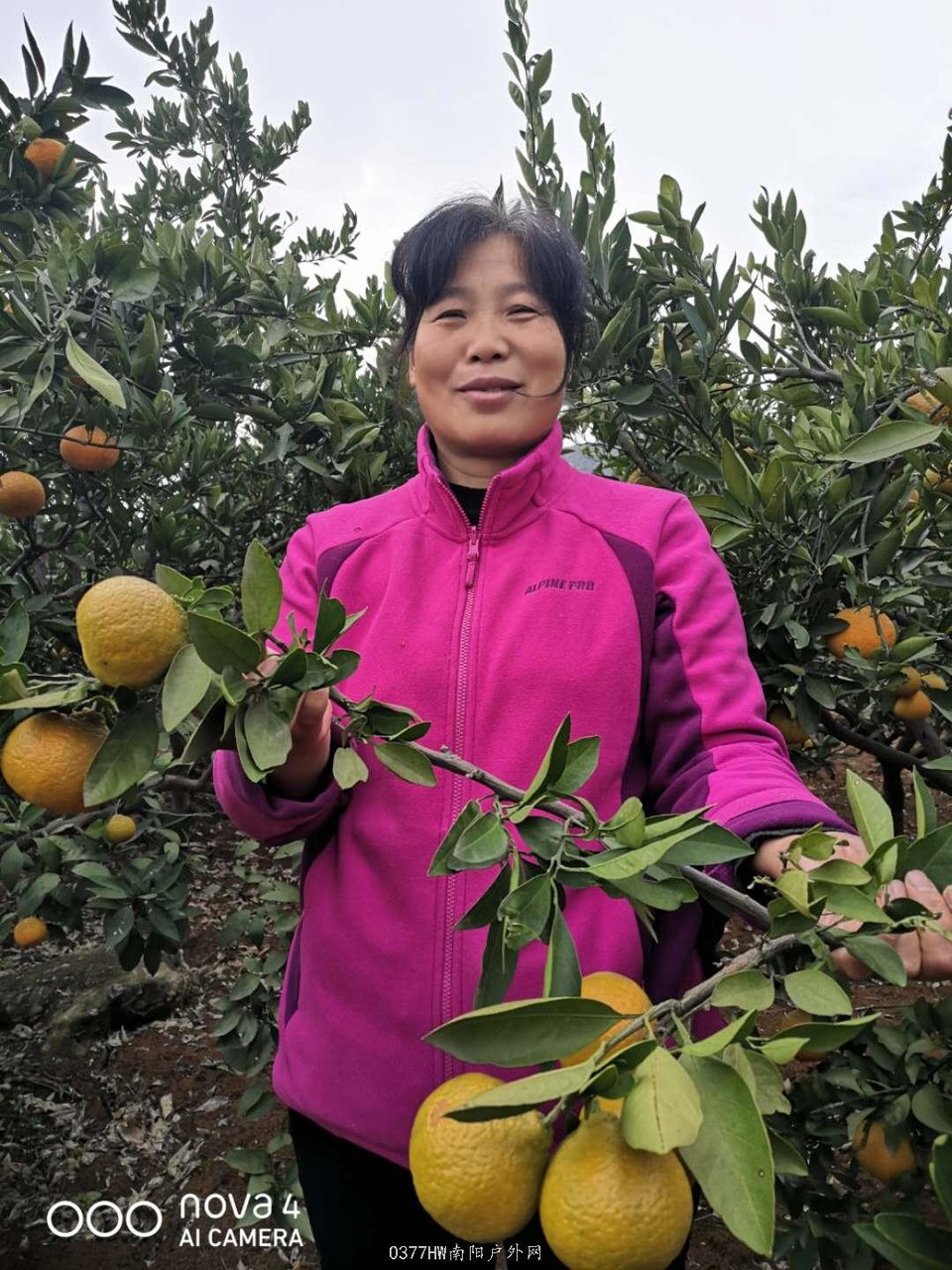 PCMX_jX5u050YIUO7ckRHt-hQe5DDq1HiOY2nwL57KI8B58vrY-UBVZLpYiM0i7T