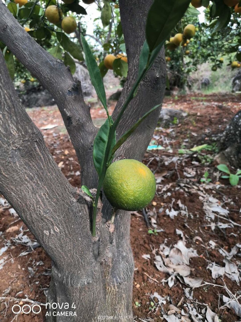 aqw3nt0KJgXqhMsDmGyCEgUXKZsBfJoBjNRb-6Tm6YLMjlhtKGP_CoW0960Ik3w1