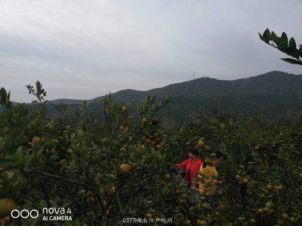 qg6dLSq6OpRk5umYfhWeAGmcwhDa-Zmmu2qkQGp8uDMli8rYQwUySE_GSmKbYtnP