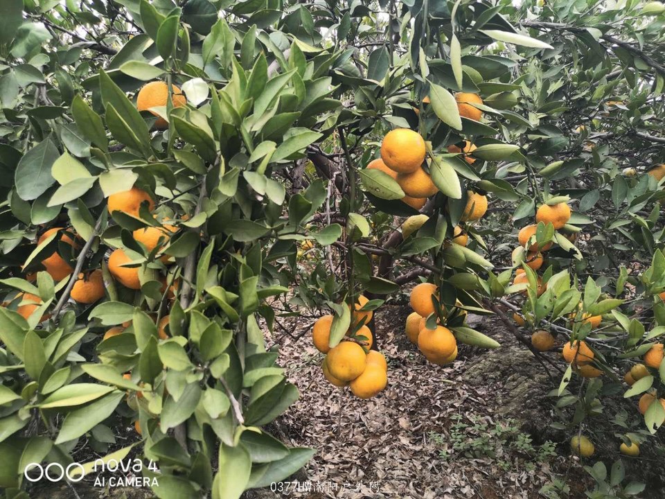 mI0u3hvdt6ZBfp5dPCcwFZHJ9bXNSI-SzeVJ-BW00J1t8lPixXSDMV7JuRQqYiSt