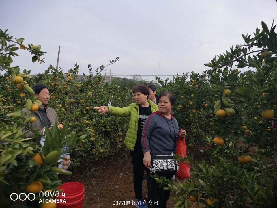 sMIsX32514MzY9e2ttqGPg0OKQ6-Lbt5ASTjKnYFFCI0AJQa_jFNxXMTx6Jw0LYM