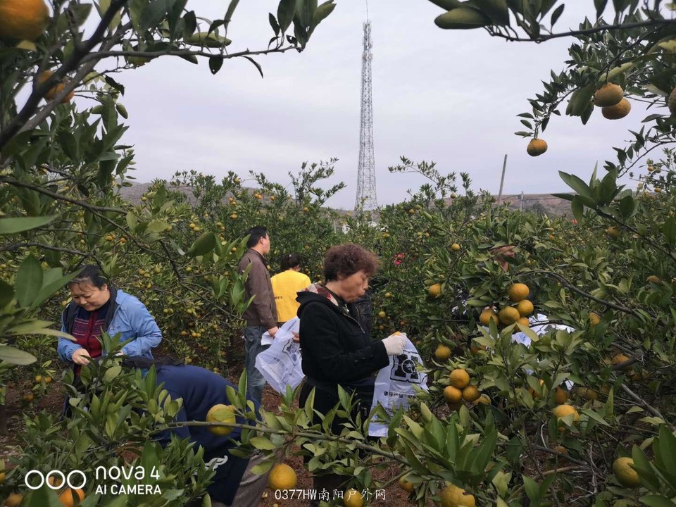 31Qb3lSIIy3xV1RLadkll1nYpmPOBAcQico8adaA6GImEWfeL3X0pXYglAYM_BEI