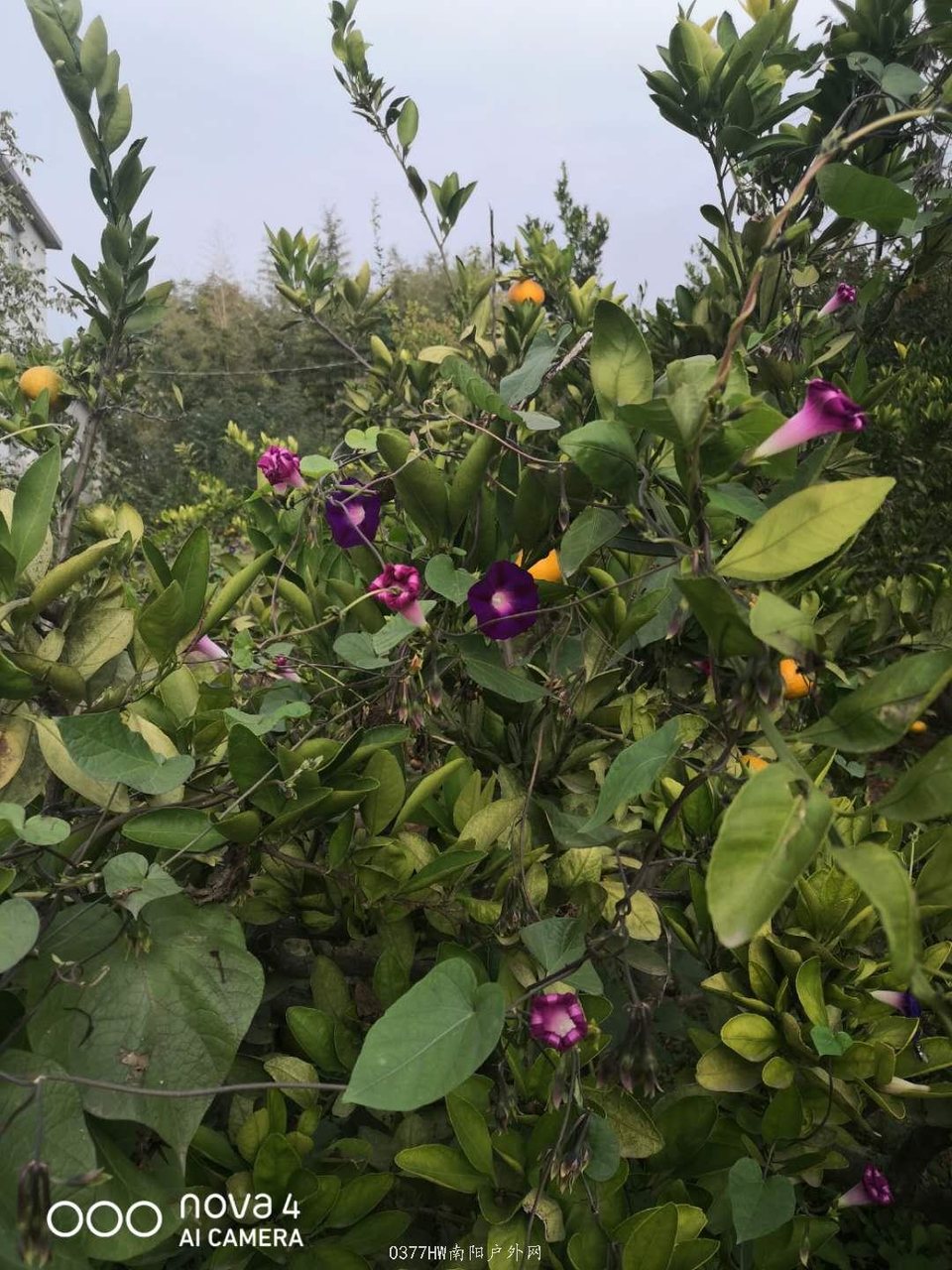 RIYhgENGtU9GNAo8xWQeyT3dj0MlFJRoykO7DZGbigxfVZx7MZg_S1fZms4Ubog3