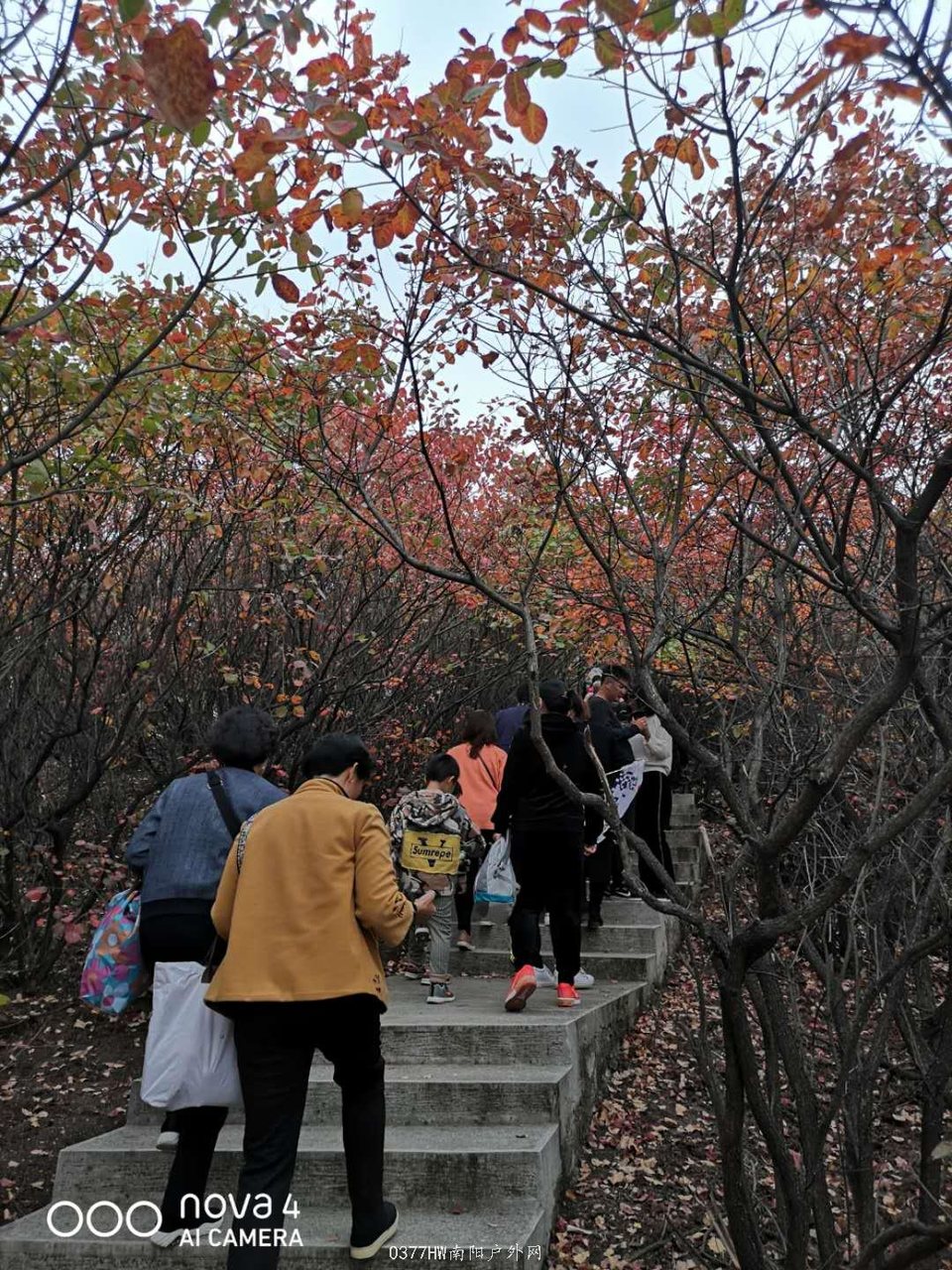 mglLZJOBI8VavKW46YGqWtxUiyxieUWoKWoY3RyXD6FUoO9LTvWSE675Mma5Qe8j