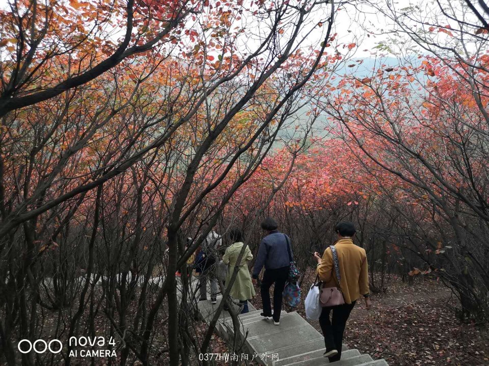 BuLKBmGKfQjBf3jDpR34xOXRKURcfh26146Yj9jpudkY1C_IG_aKhwuPlds9sBFu