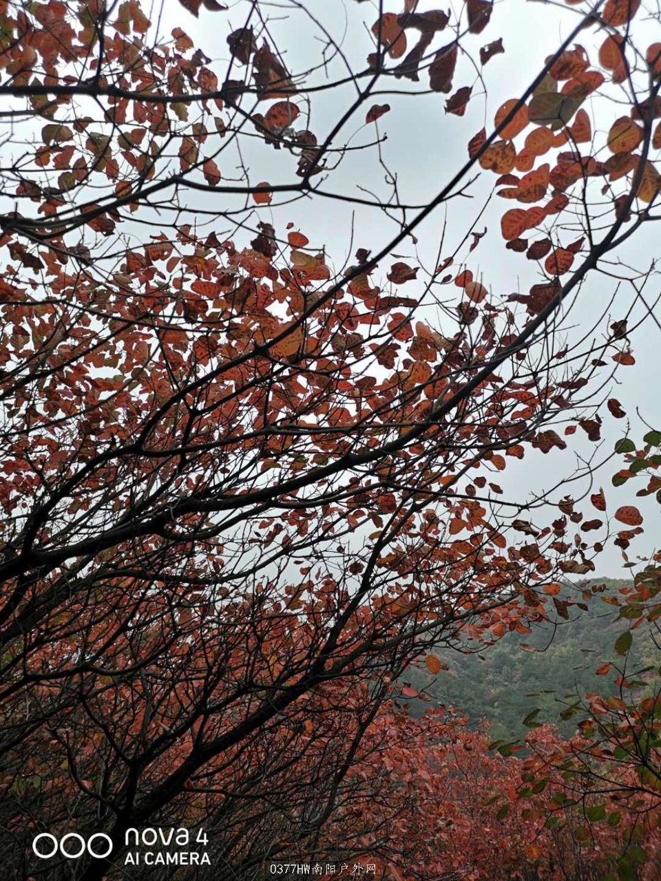 dL02d4jWZNhnrKTMS8741Xkv3o8_qEeInVLjH1iJL2txCNiZozPZEsBprh4coy1b