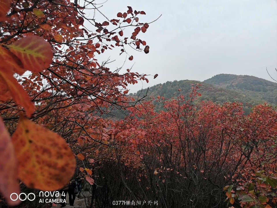 xr991Gcb-Bs0dSpwJTlRBYY0RPA9sLe1H_A3CpR15TaZF_xcPJ1Jn_7LGW72JWz0