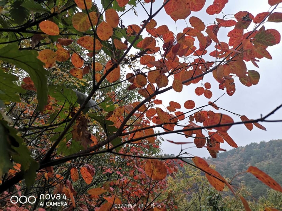 B1GBSX-F_NUm5MU_n8UQOLPbkqlpFGaGesCr9DhPU7TVcRg9Q9Gql6vRIYYhaAgf