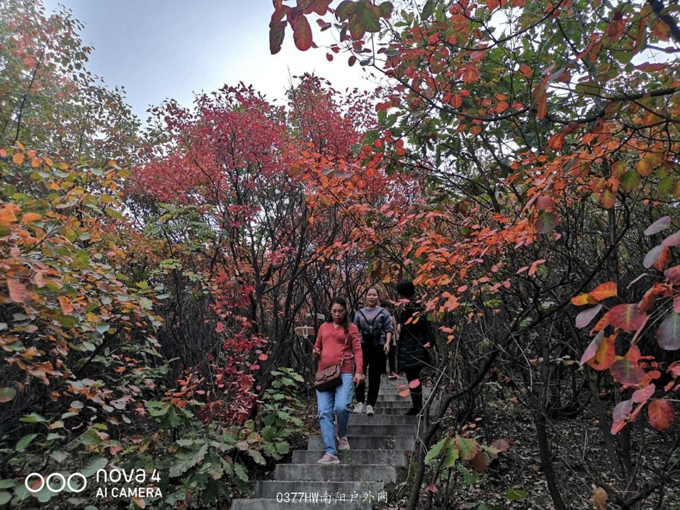 dtOBI3O0W84-9sL8PthuKgA6virm_1H4wpVk5DFOtFDXnNIkgG6VvDY6O2PdEQZu