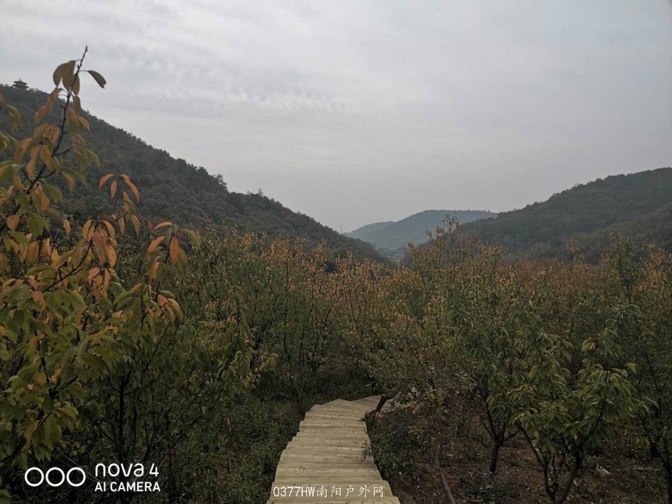 mvDF4utyHKZzHGj-s1mw13HAOv5j8_JrEmYr0BhWfOVABKgQXfak8-JB9pC8qzpc