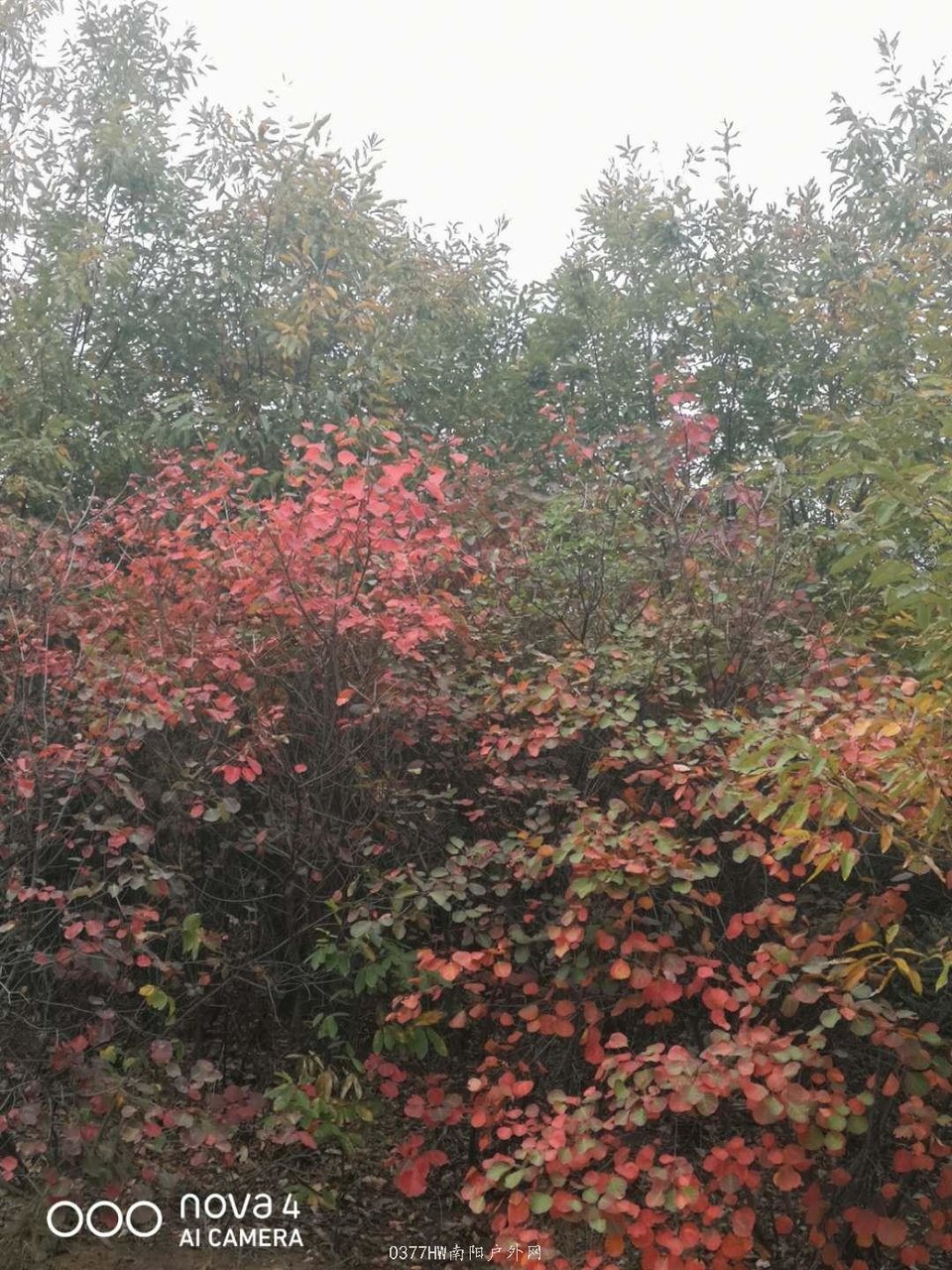 FR06EYM49Ps1o3oiMhY0xDEOxFh7TDSGGMqN-KRF9fPezdQwoAo9SQ9SIJBie4DC