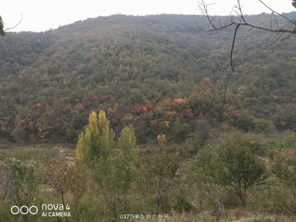 gidRk_52wNbRrPf5m7GOiCgqTz6ebkQJnaHdv0PohSp7ldszhinp1h0KInc2F6uI