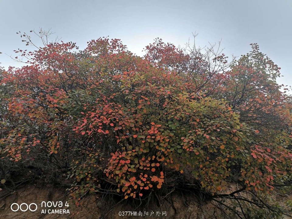 hD1cp-c98AlTNSuw28lvAiK2cq0CAGowEl9zfZ280VhBPQp2ifc7t0do8YuObxCU