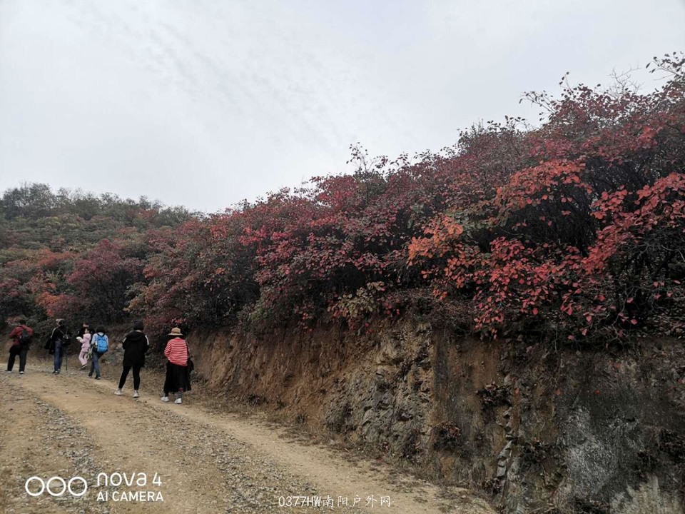 PCMX_jX5u050YIUO7ckRHjTBDmQWPkEGkrSyUunxcdEk4NCYsGWYYiK3uMMz4_P7