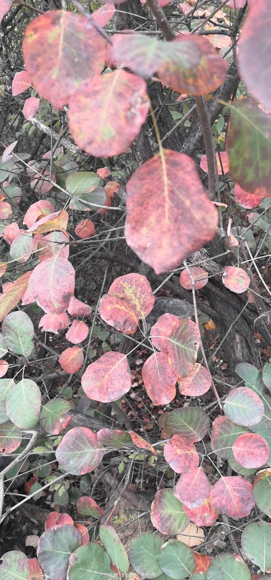 VfJWIFQarU3JdOBmU2IwLMVAfuGjTao_0Fnp_QP8Tv-jOkrngcODdpbDhjw90enI