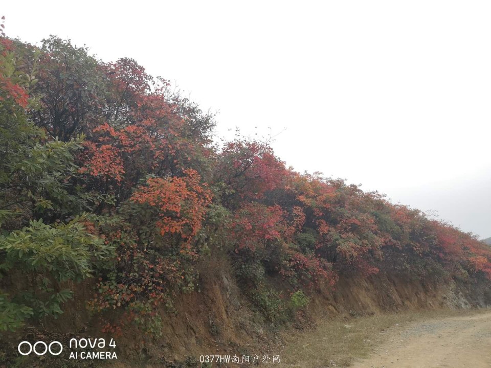 C85AqRifIw0ElqybcwWiOKRNp3KmU9jRzsHQQvwxnMZr5SjJwBhdJGAVgR0JwE2X