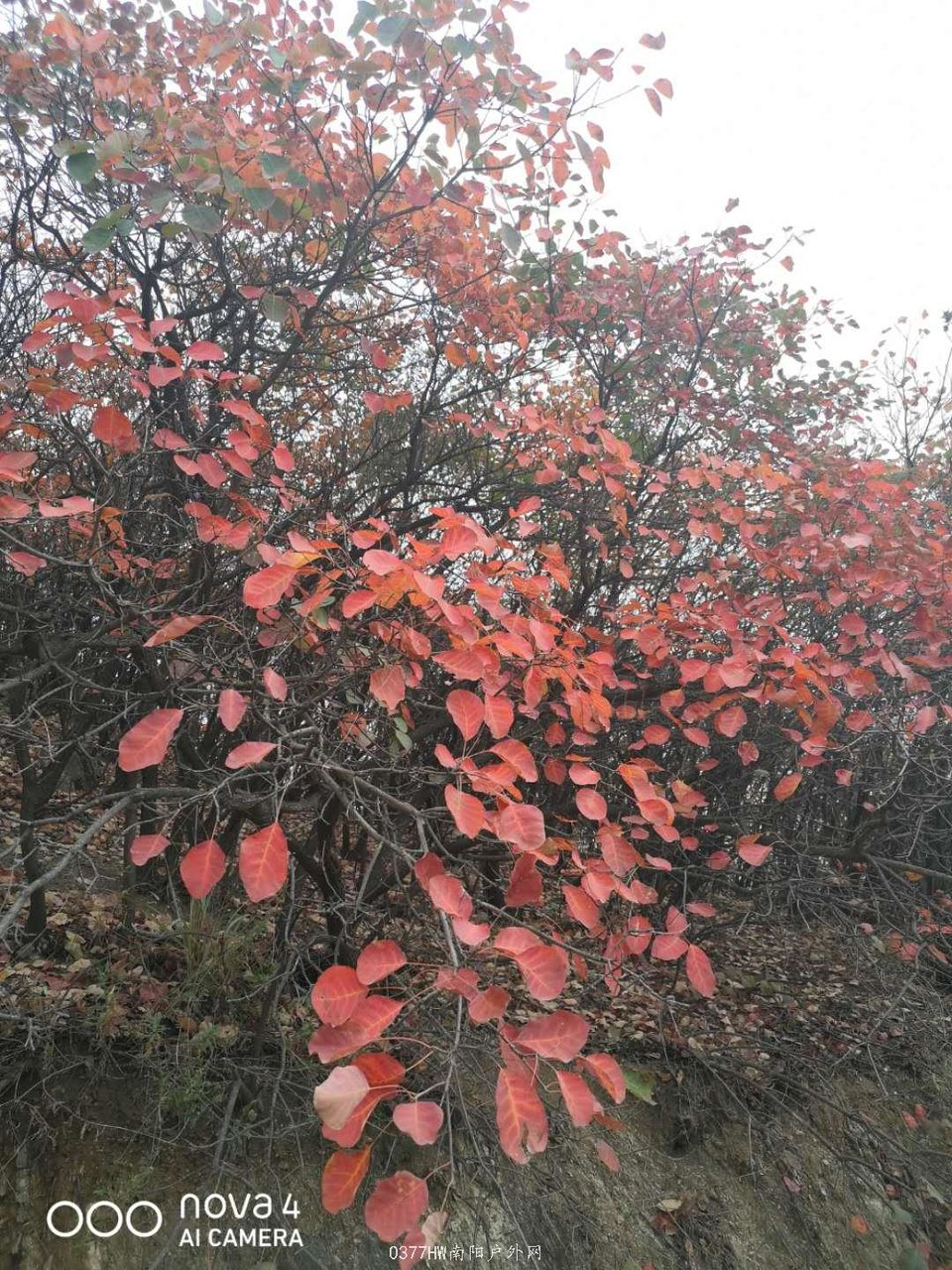 QctWuQujzEM8r5ge_e-23cqooS_m73H9u4VaCSmoVdbS_ByfIHVtiG973ylX7zZH