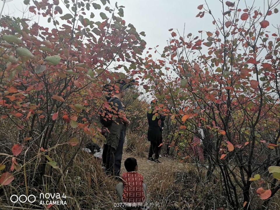 bRCzYPd5ipbLYJ--kYlVO4BvPefEJu2ikG9WHYvxvKdkQ64TR-1LDb0C5x0lUIAm