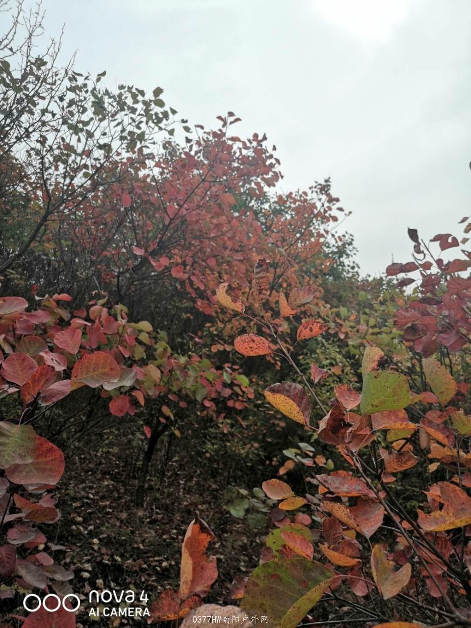 nE0_-yXVJIs6oQa8vEpb1wUw7GvgJuf36W44SGfTdpiLkHRqNEOfEIqUS2l4Hov9