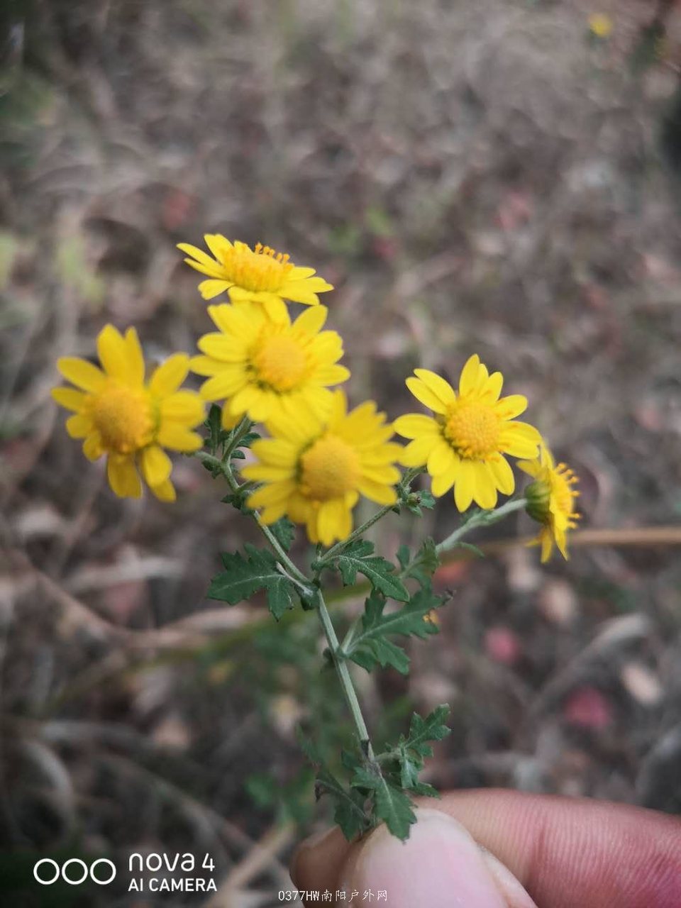 LGtD0umWh8xiBE1gbOYp9CI4SnhU3t3FCjfZJBm8VE86ukrASetmAj_13G2VQ0jQ