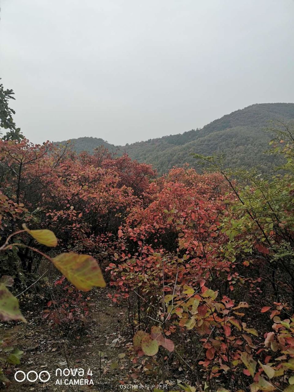 RmLJ0_3pvSBbaNXclzDTsPQJVzCGcKCduN3Nw-j3uK0nGarSzbeuleqM6a0IAr0J