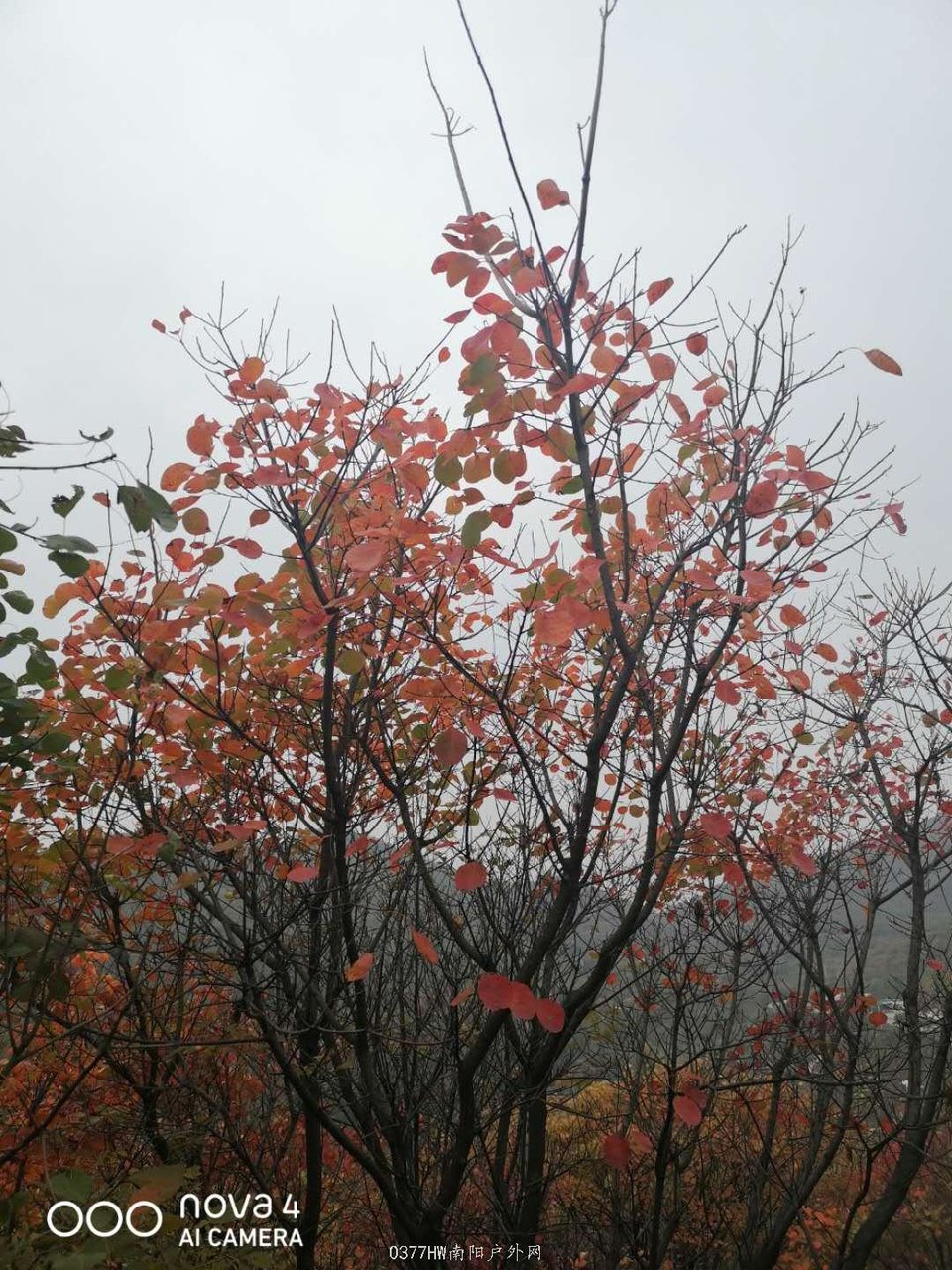 llgJBKR0NPyM-gP8LQ9g9FErq1jLmYKe5SQ2na1CZw44mgp8Zl-T1KhRekyH4QuJ