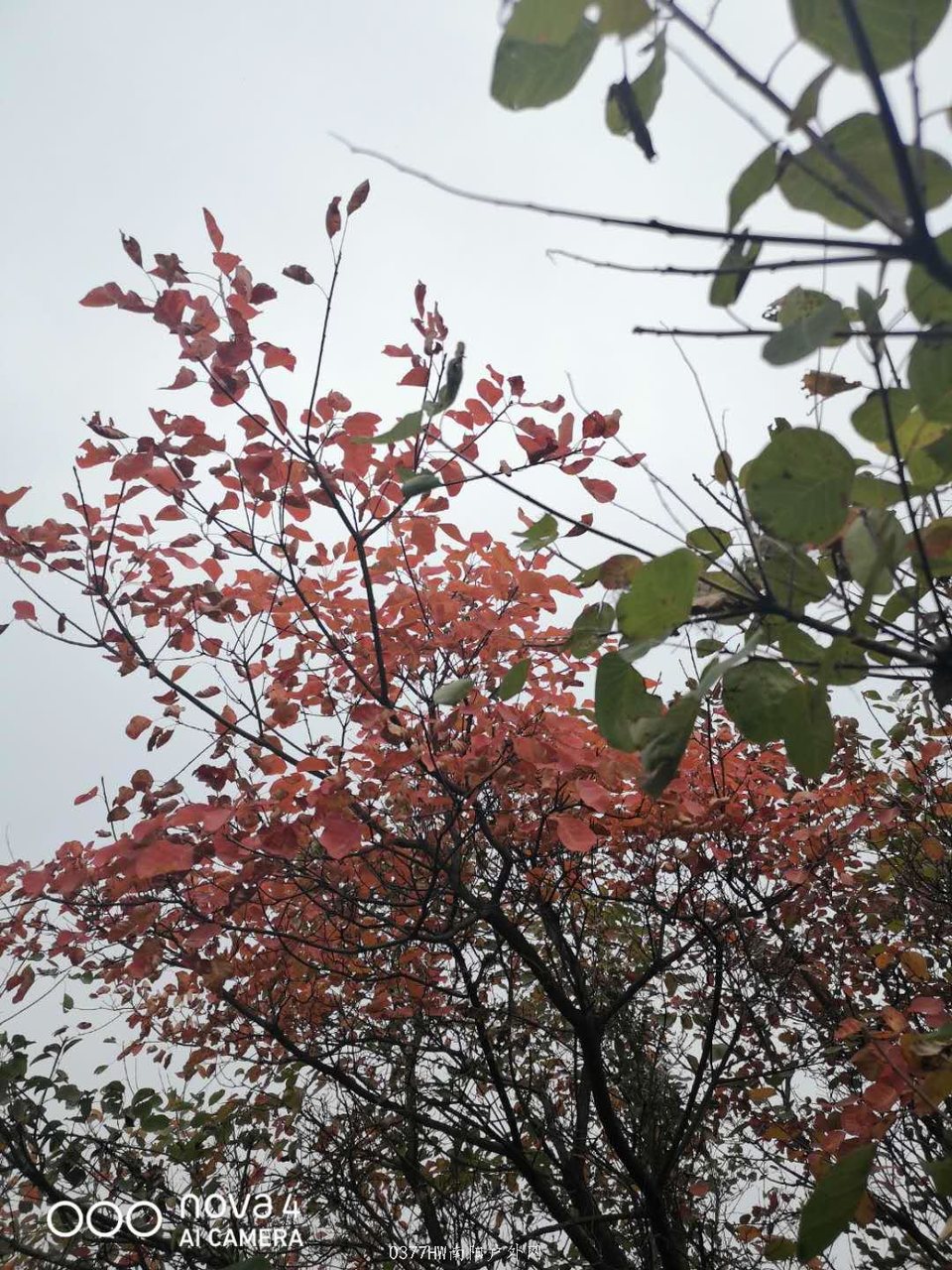 oXtxOUqxoyp025yP-zGQ92wyO4CUsspcJrv94-ZFoCBK_9IgYr25VxtzvpgpmHm2