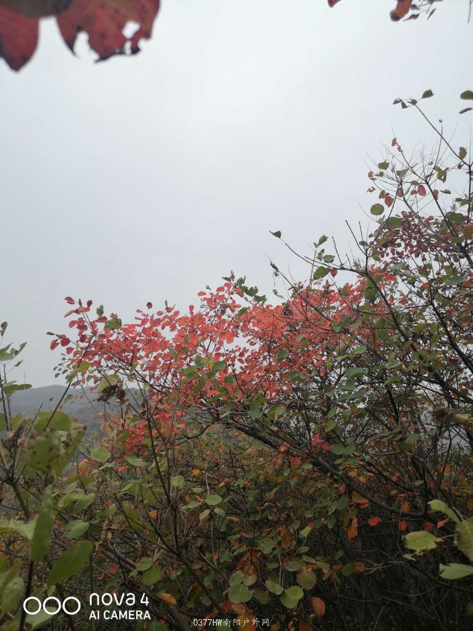 q8GJMIubrYOMb0j3OpDY6gj66dsN4mxF0D6tbJ2a3b3AIyua6ExjzBlPCEpEOe_F