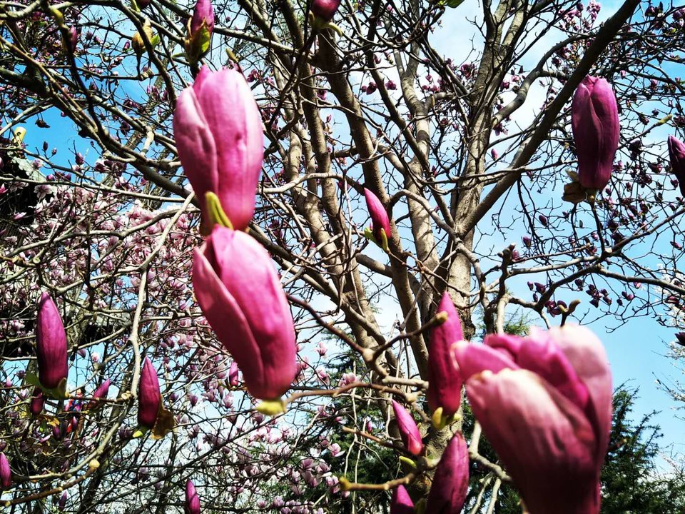 beEaj6iQFoq8tv2vLeh39ywvPvx4nS2OOSHnUKxuZpN_IKSpUAA0uR9S9y22-APk