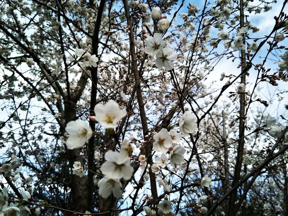 _ZSkXkCoJm_WJF80-DDOOwiPCuc2-yUU-T5-OvSrx11keACDRHxtfu2Fa4ge_Iws