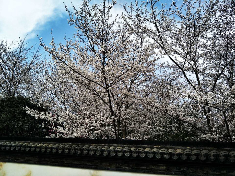 Y5E4DvzBNzqfrObrhgQ4LT6iY6WsvAuZ0EaQOffqk1lQdhnSUIiBPTBZuPB22669