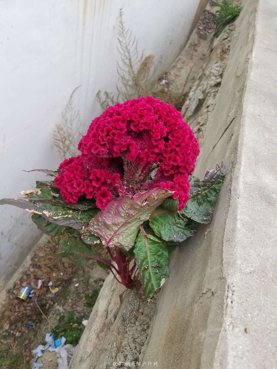 Vr2wsFE_is88QoEmfYKEjK5Ixs0IM1w1mqzTPulj_iH27BKiRe-Hot8Landk7iEV