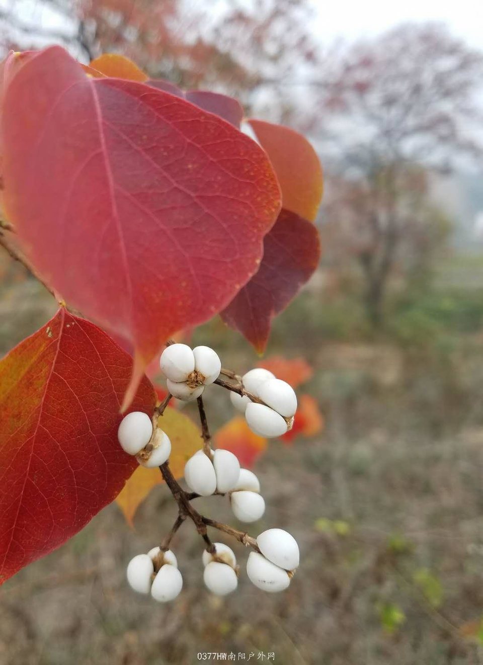 BTA2GO8WaXwI_lzTA7wPAASA0cKzcsNQm91UVAoigekmiob-_jO23eeeO5UjNNJQ