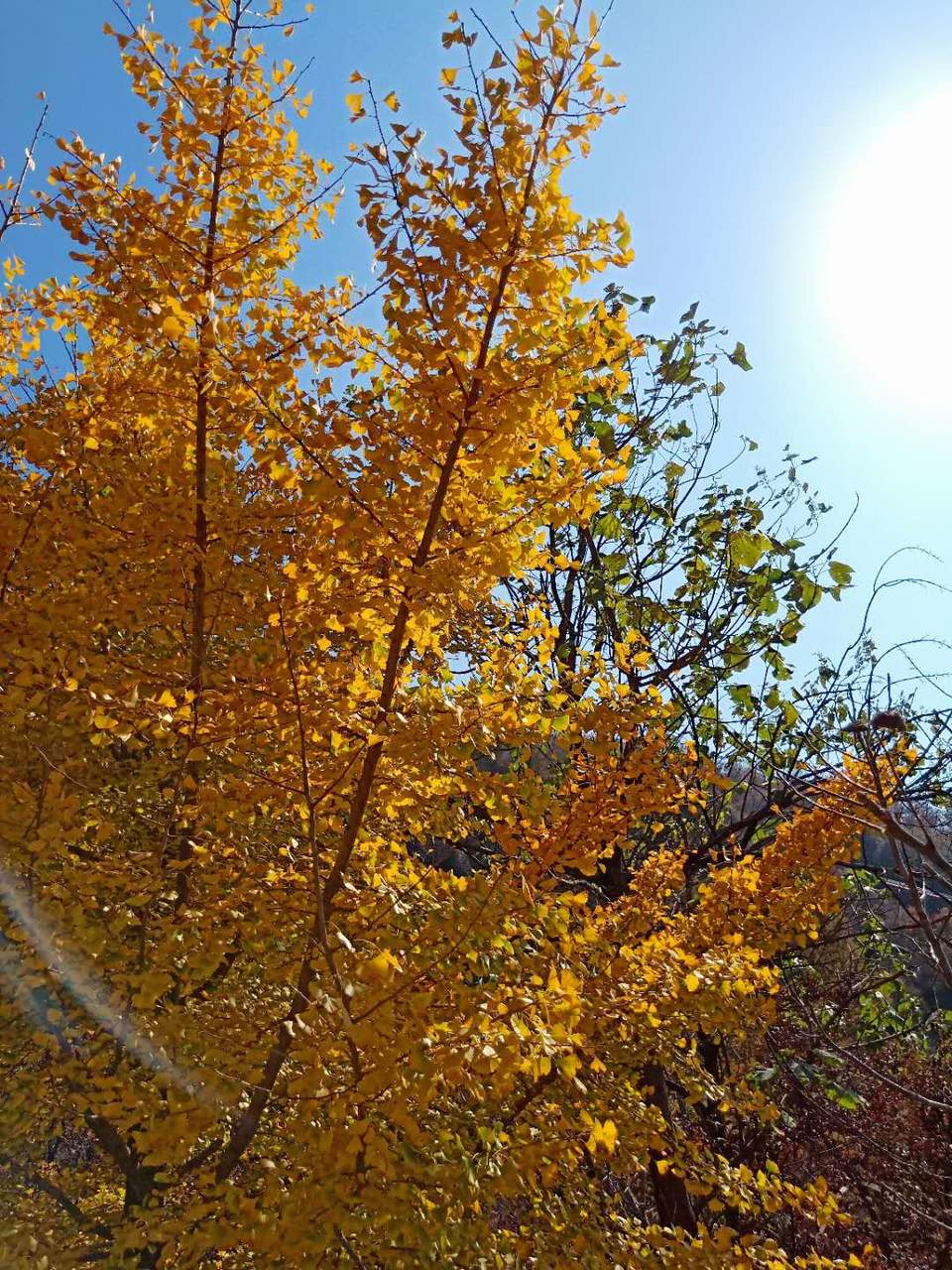 lKNzdgVwQ6k_QITHEDXiVmGtodPmt2S6jmH4jY4wavoef6jChyw_yEn20Y5DEjNR