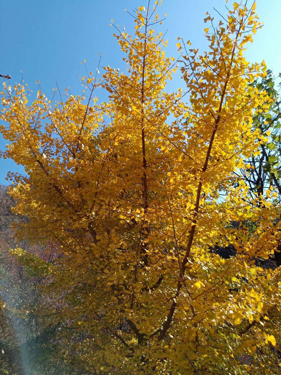 W1Ep8B5Cof0cqsgZSSJ5H61l-0TqQgUHDp6_8Og4r9ZpHHX2qse8-Ca0nhI3PSB6