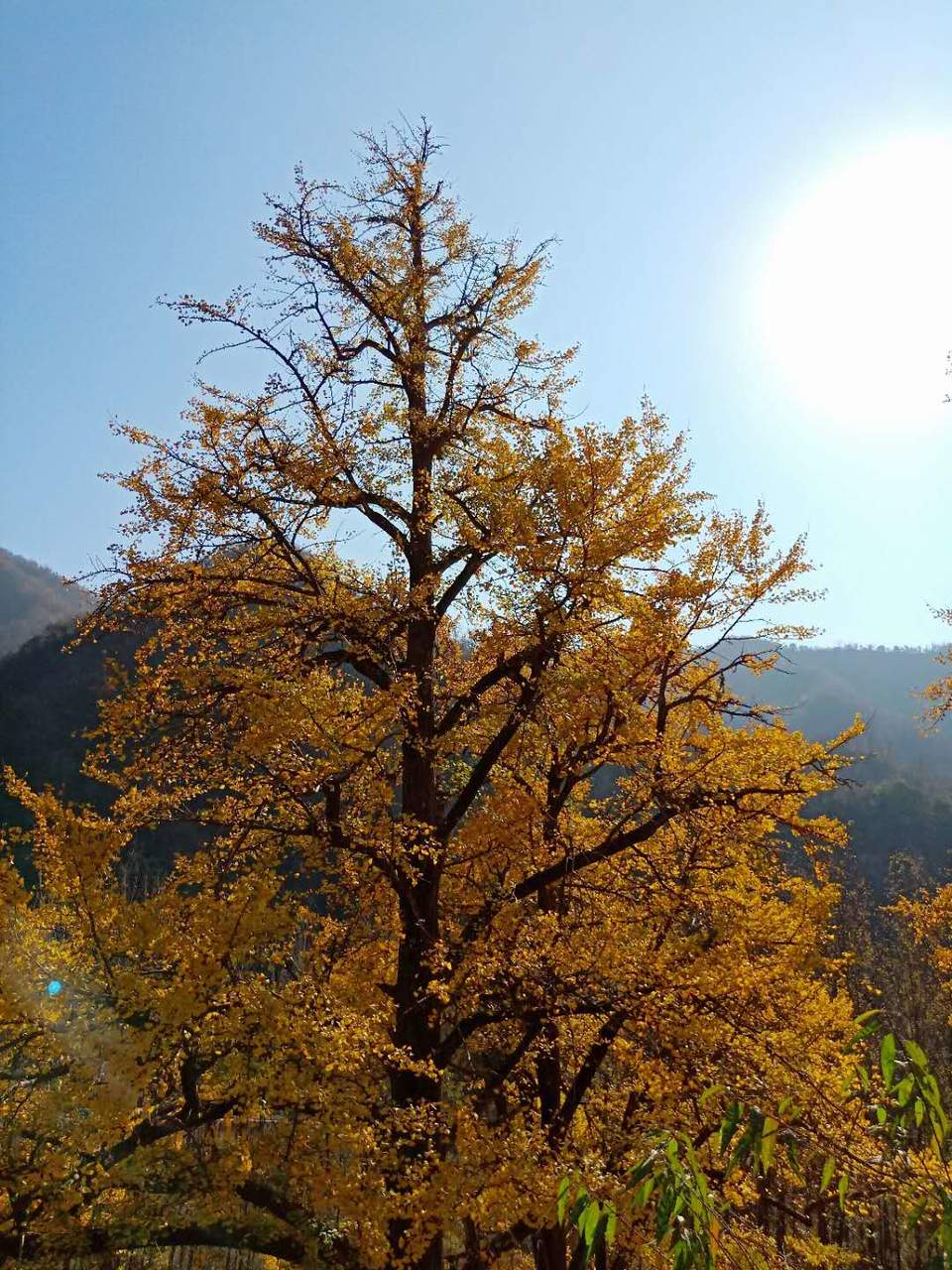 1WNOYheuAr1OQ6hu2xirfCQwR8SFiU5dPzaDwKVKxgEpxVbipFxI13GqIlUv5DST