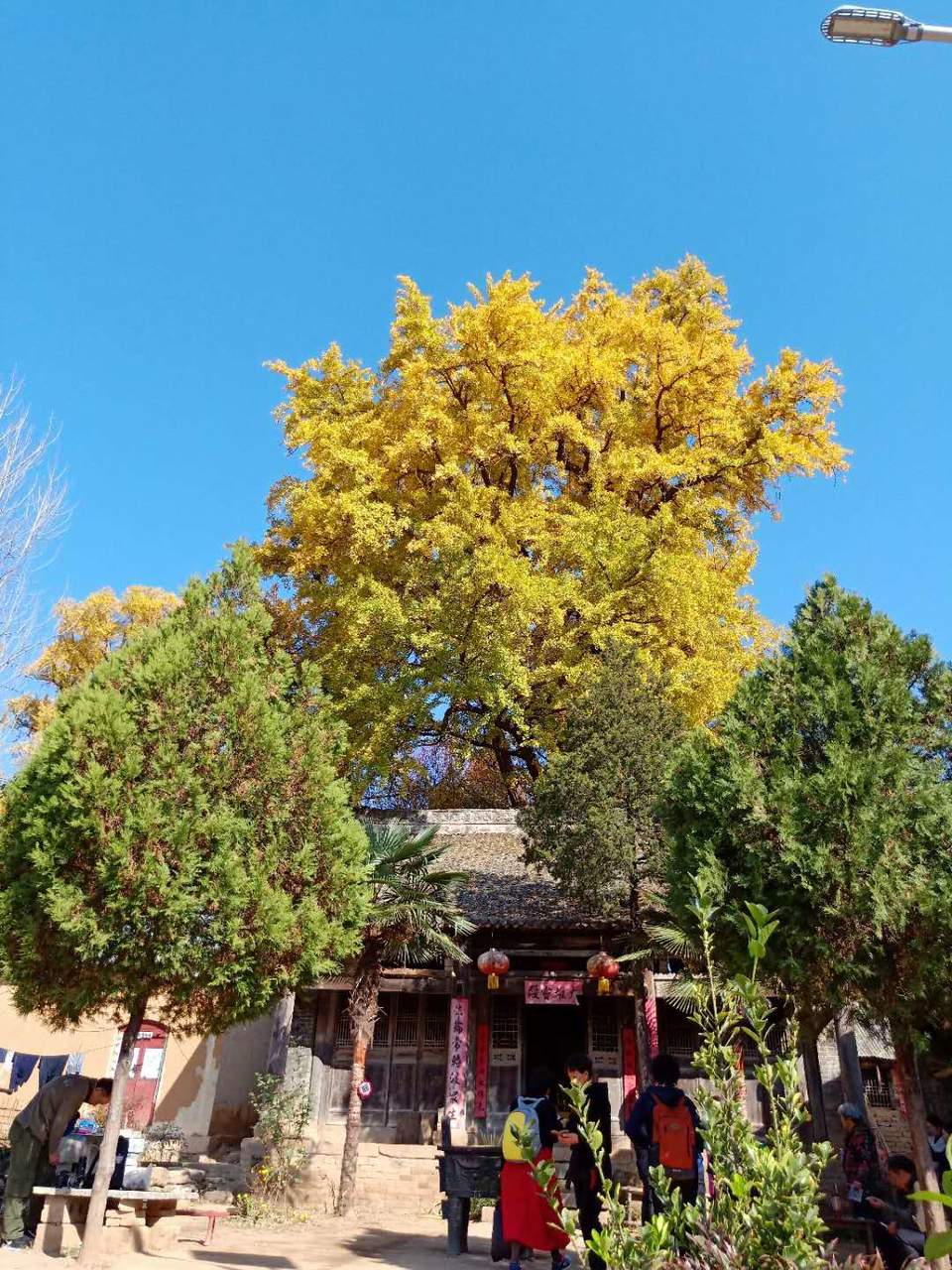 9BccBii6KjHiCD1rogfCOT4QlBoUOWpSiFJW5YcNKIEC5WLdXC0Y9N-WHiOp4kpt